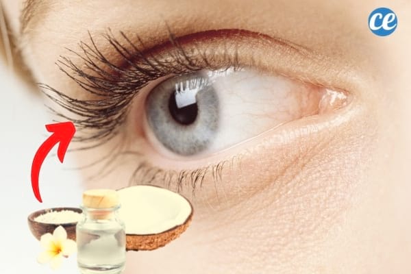 coconut oil for eyelash volume