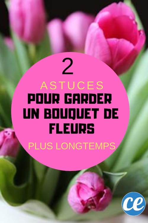 comment conserver un bouquet de fleurs plus longtemps