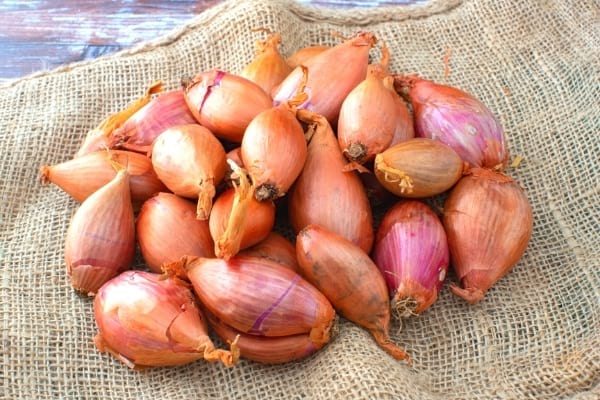 échalotes sur toile de jute