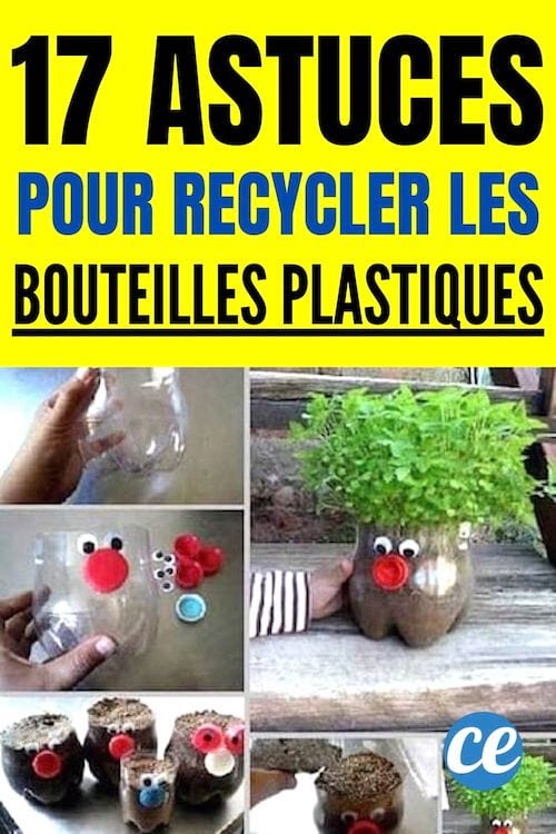 17 astuces pour recycler les bouteilles en plastique