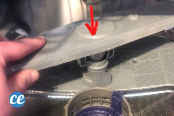 remettre le bras d'aspersion dans la cuve