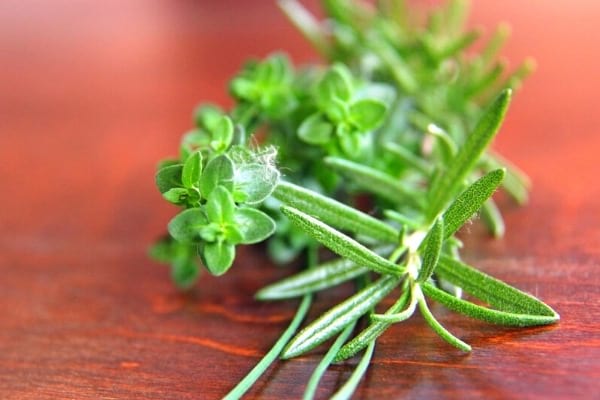 branche de romarin anti-stress