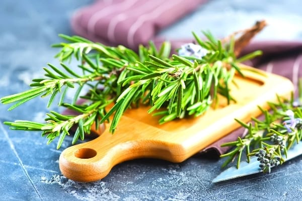 romarin frais sur une planche à découper en bois bénéfice
