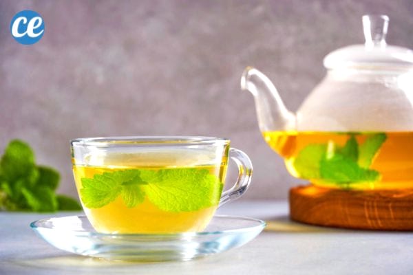 Une seule tasse de tisane de mélisse a de nombreux bienfaits santé. 