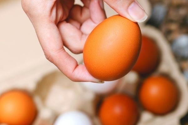 une main qui tient un oeuf qui est riche en cholestérol et que l'on peut manger