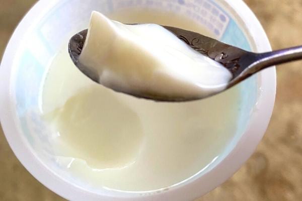 Du yaourt au lait entier riche en cholestérol