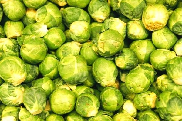 des choux de bruxelles riche en vitamine B9