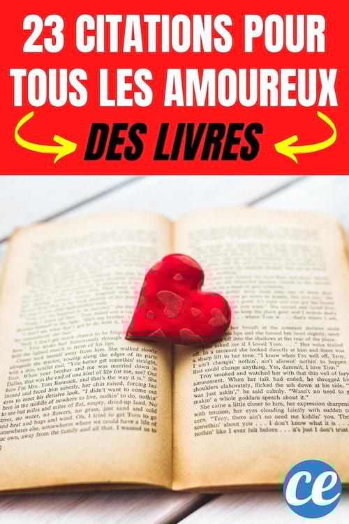 23 citations inspirantes pour tous les amoureux des livres