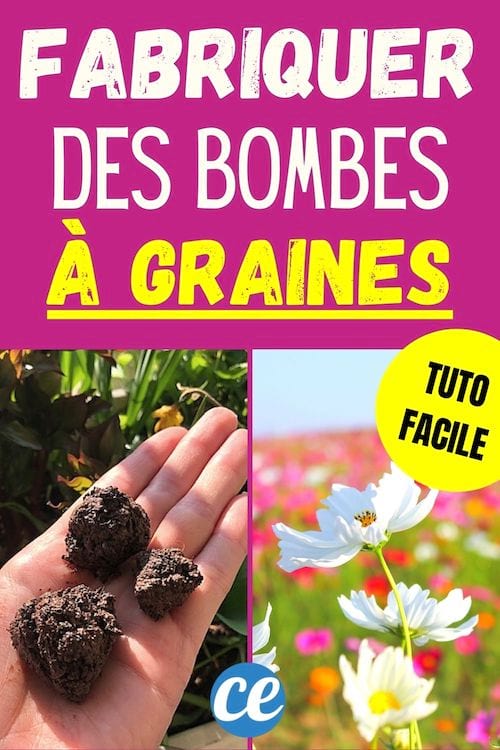 tuto facile DIY pour fabriquer des bombe de graines gratuites
