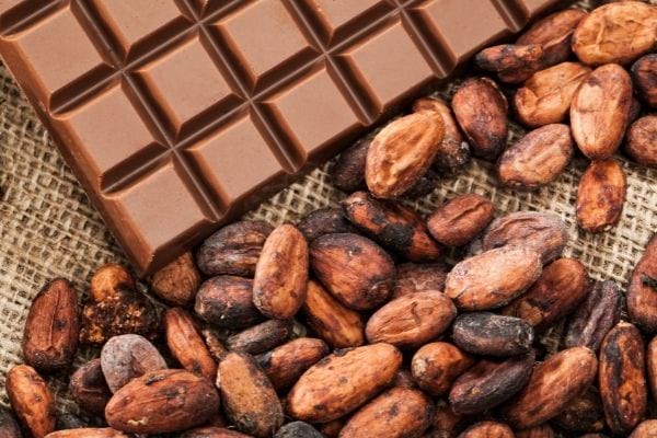 Contre la déforestation: Le chocolat suisse risque de se retrouver