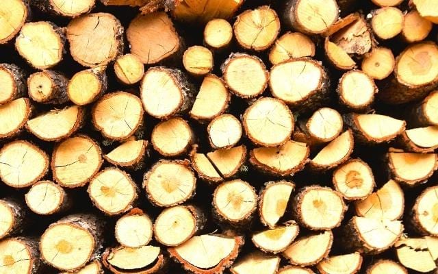 Des bûches de bois de chêne à longue combustion pour diminuer sa consommation de bois