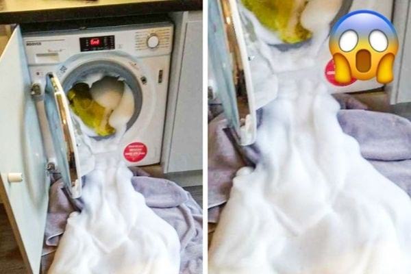 eine Waschmaschine voller Schaum