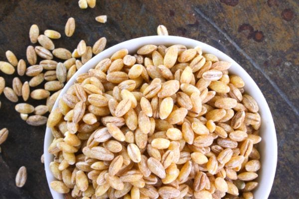 Les cuisiniers utilisent l'orge car il plein de nutriments et ne coûte pas très cher. 