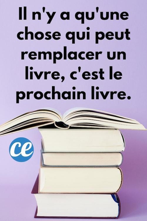Il n'y a qu'une chose qui peut remplacer un livre, c'est le prochain livre.