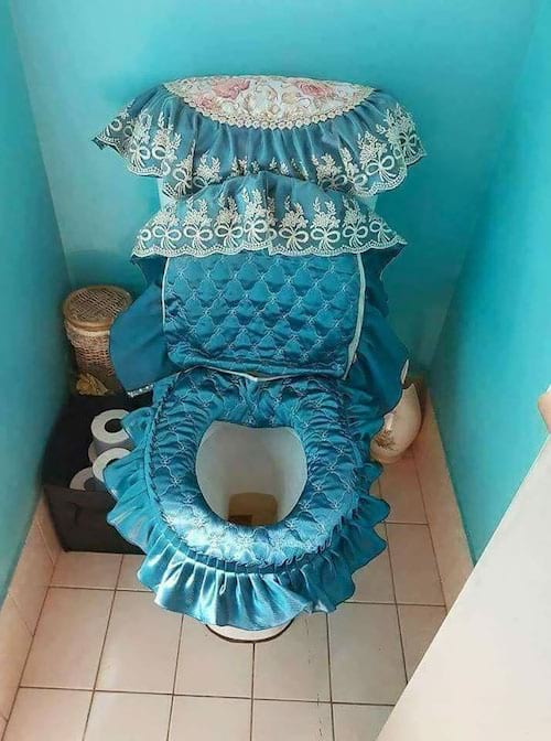 Siège de toilette vêtu en bleu