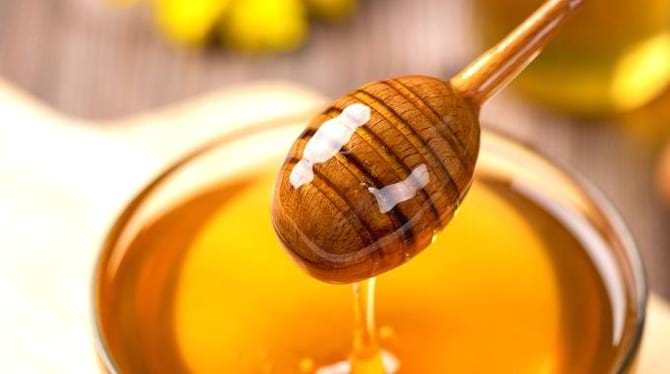 Une coupelle remplie d'eau et de miel qui sert de piège pour tuer les mouches du terreau