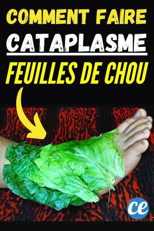 cataplasme feuille chou pour soulager cheville foulée