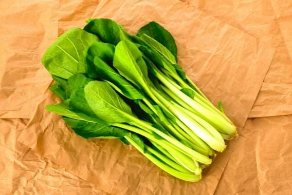 Du komatsuna riche en vitamine C 