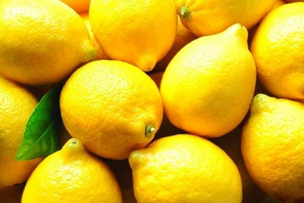 Des citrons jaunes riches en vitamine C