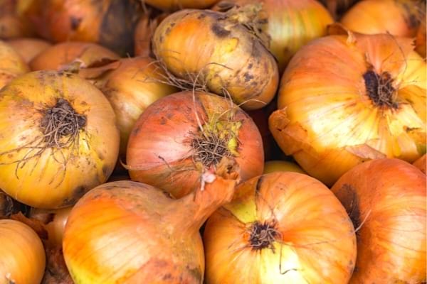 Des oignons qui provoquent des ballonnements