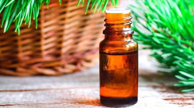 Une fiole d'huile essentielle pour faire fuir les mouches du terreau