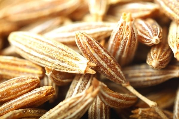 graines de cumin favorise la perte de poids naturelle