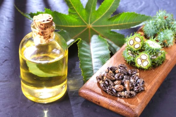 Des graines, des feuilles et de l'huile de ricin.