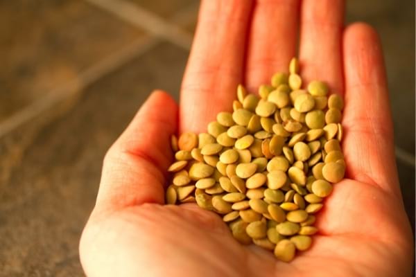 Des lentilles dans le creux d'une main qui provoquent des ballonnements