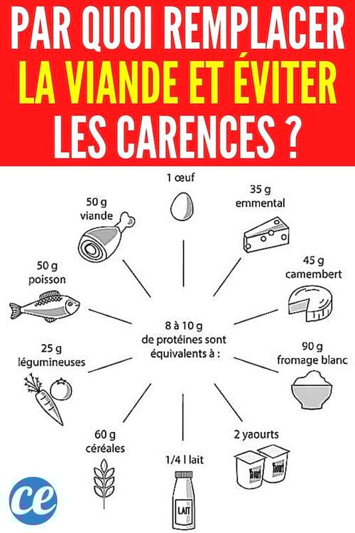 Les aliments qui permettent de remplacer la viande sans faire de carences en protéine