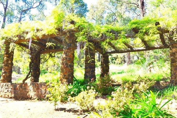 pergola en pierre végétalisée glycine
