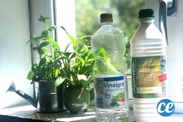 du vinaigre blanc et de l'alcool ménager pour laver les vitres