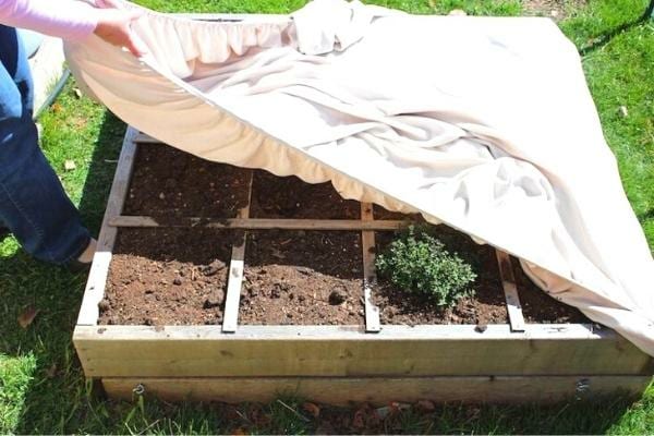 Recouvrez les plantes de votre potager pendant l'hiver pour les protéger du gel.