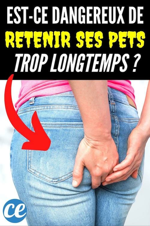 Retenir vos pets trop longtemps, c'est dangereux pour la santé ?