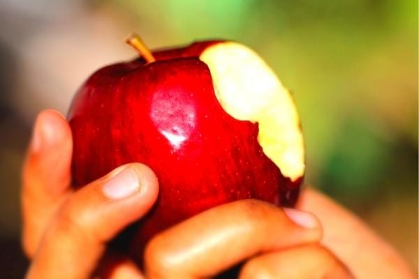 Une pomme un peu mangée qui provoquent des ballonnements