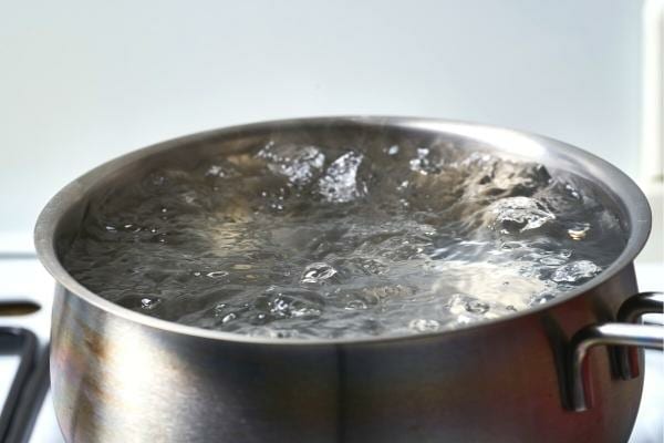 De l'eau bouillante dans une casserole pour se débarrasser des fourmis charpentières