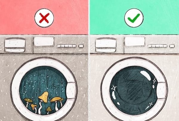 Une machine à laver avec des champignons à l'intérieur