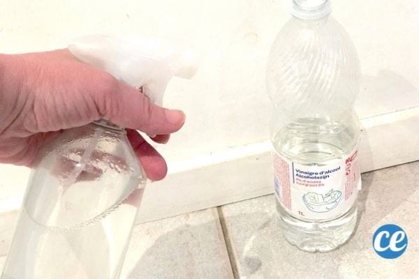 une personne diffuse un spray au vinaigre sur les plinthes
