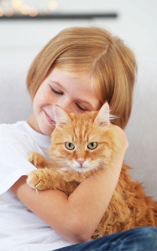 petite fille avec un chat roux dans les bras