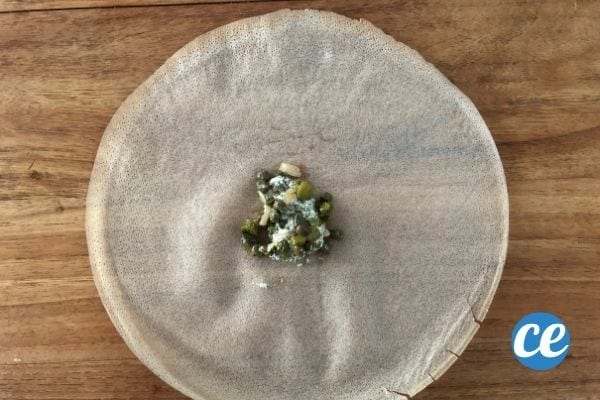 une feuille de brick avec de la farce au milieu