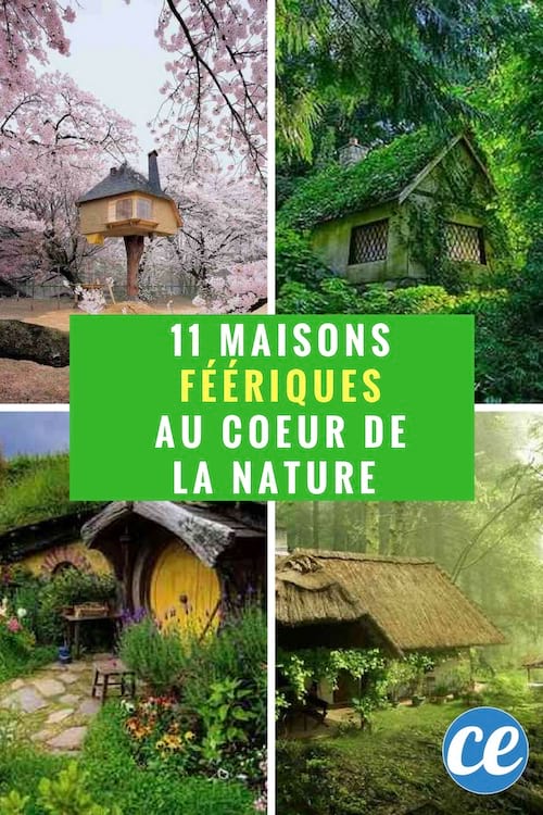 11 maisons féériques au fond des bois