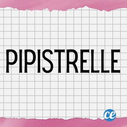 Mot dr&ocirc;le Pipistrelle