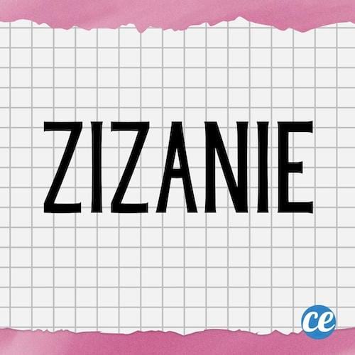 Mot dr&ocirc;le Zizanie