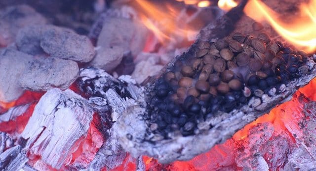 noyaux de cerise charbon pour barbecue