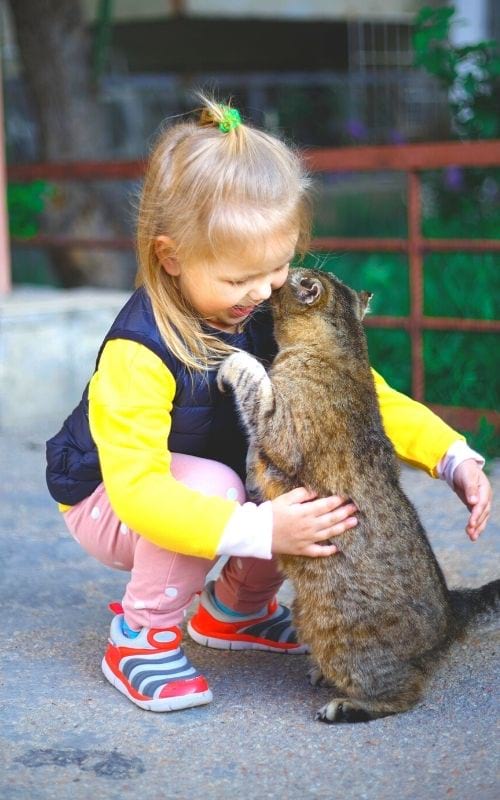 petite fille avec un chat dans les bras