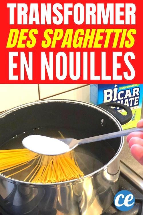 comment transformer des spaghettis en nuilles