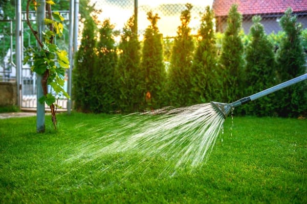 arrosage jardin au coucher du soleil
