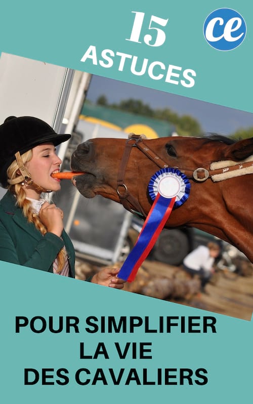 15 Astuces Pour Faciliter La Vie De Tous Ceux Qui Font Du Cheval.