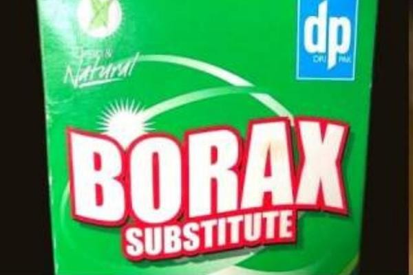 De l'acide borique pour éliminer les fourmis charpentières de la maison