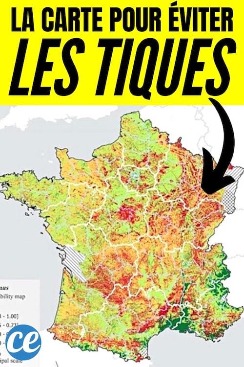 La carte pour éviter les tiques en France, ville par ville 
