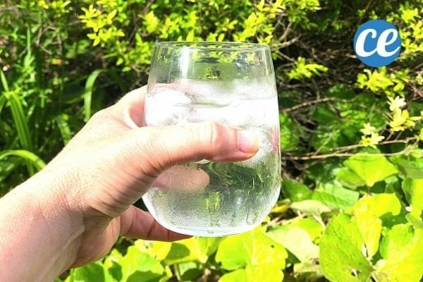 a glass of ice water in front of plants held by a person